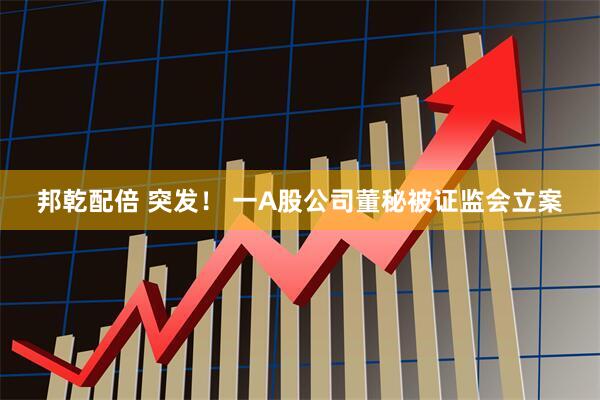 邦乾配倍 突发！ 一A股公司董秘被证监会立案