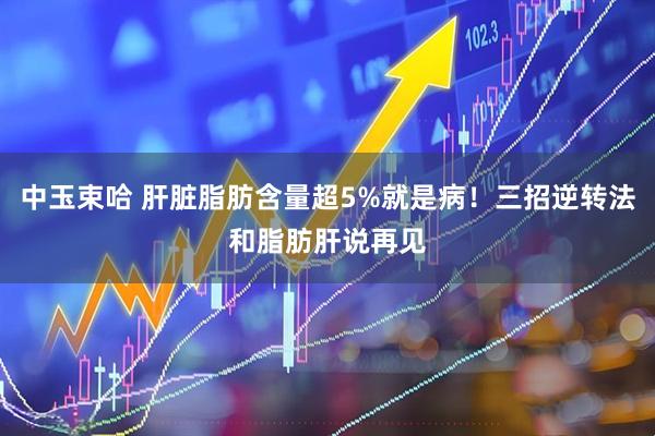 中玉束哈 肝脏脂肪含量超5%就是病！三招逆转法和脂肪肝说再见