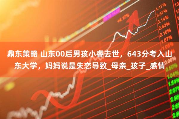 鼎东策略 山东00后男孩小睿去世，643分考入山东大学，妈妈说是失恋导致_母亲_孩子_感情