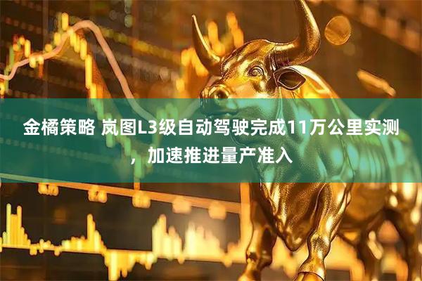 金橘策略 岚图L3级自动驾驶完成11万公里实测，加速推进量产准入