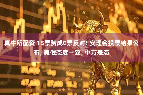 真牛所配资 15票赞成0票反对! 安理会投票结果公布, 美俄态度一致, 中方表态